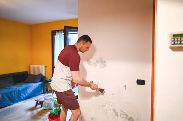 Best Basement Mold Remediation in Sylvan Springs, AL
