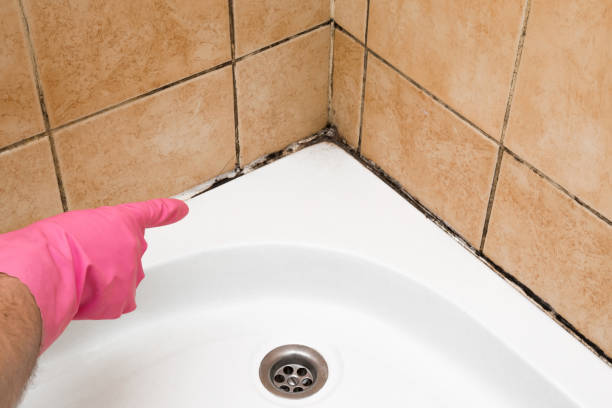 Best Mold Remediation for Specific Building Types in Sylvan Springs, AL